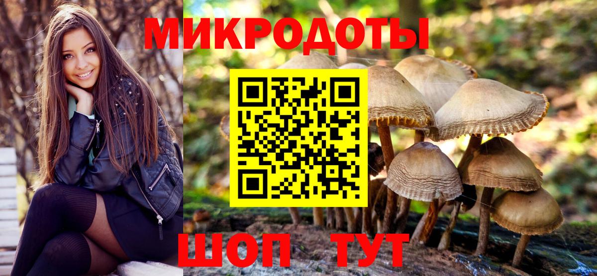 Киров  Псилоцибиновые грибы GOLDEN TEACHER  Вход с VPN 