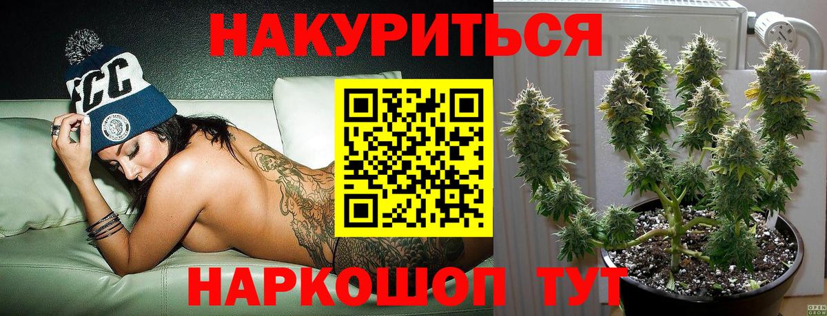 Марихуана конопля Киров